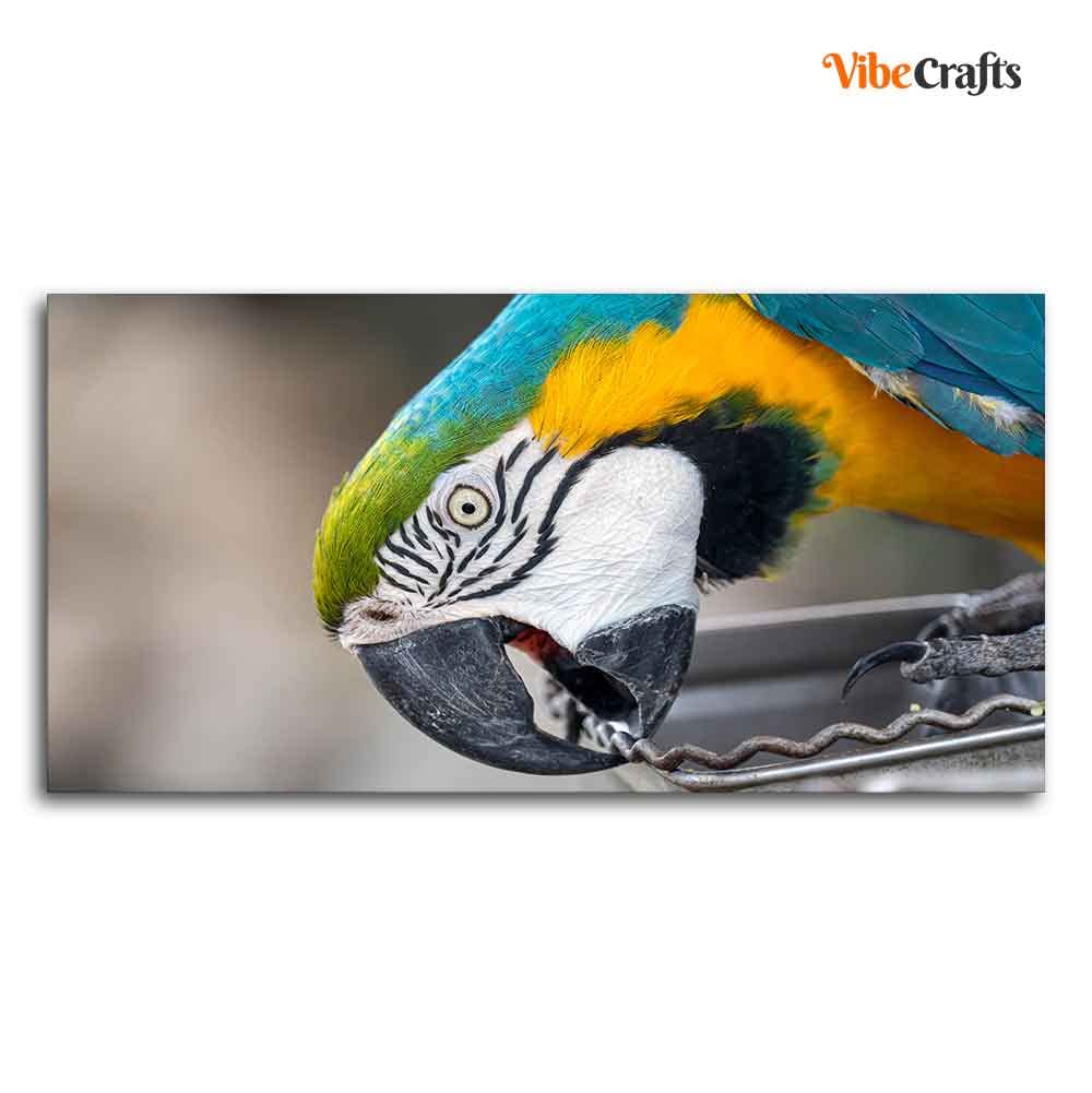 VIBECRAFTS Canvas Paintings for Living Room Drawing Room Beautiful Macaw Parrot Canvas Wall Painting Fitted With Wooden Frame For Home | Office | Living Room | Gift (PTVCH_2482)