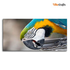 VIBECRAFTS Canvas Paintings for Living Room Drawing Room Beautiful Macaw Parrot Canvas Wall Painting Fitted With Wooden Frame For Home | Office | Living Room | Gift (PTVCH_2482)