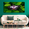 VIBECRAFTS Canvas Paintings for Living Room Drawing Room A Beautiful Butterfly On Leaf Premium Canvas Wall Painting Fitted With Wooden Frame for Home | Office | Gift (PTVCH_2329)