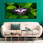 VIBECRAFTS Canvas Paintings for Living Room Drawing Room A Beautiful Butterfly On Leaf Premium Canvas Wall Painting Fitted With Wooden Frame for Home | Office | Gift (PTVCH_2329)