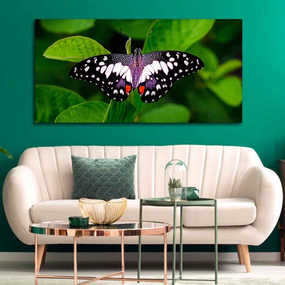 VIBECRAFTS Canvas Paintings for Living Room Drawing Room A Beautiful Butterfly On Leaf Premium Canvas Wall Painting Fitted With Wooden Frame for Home | Office | Gift (PTVCH_2329)