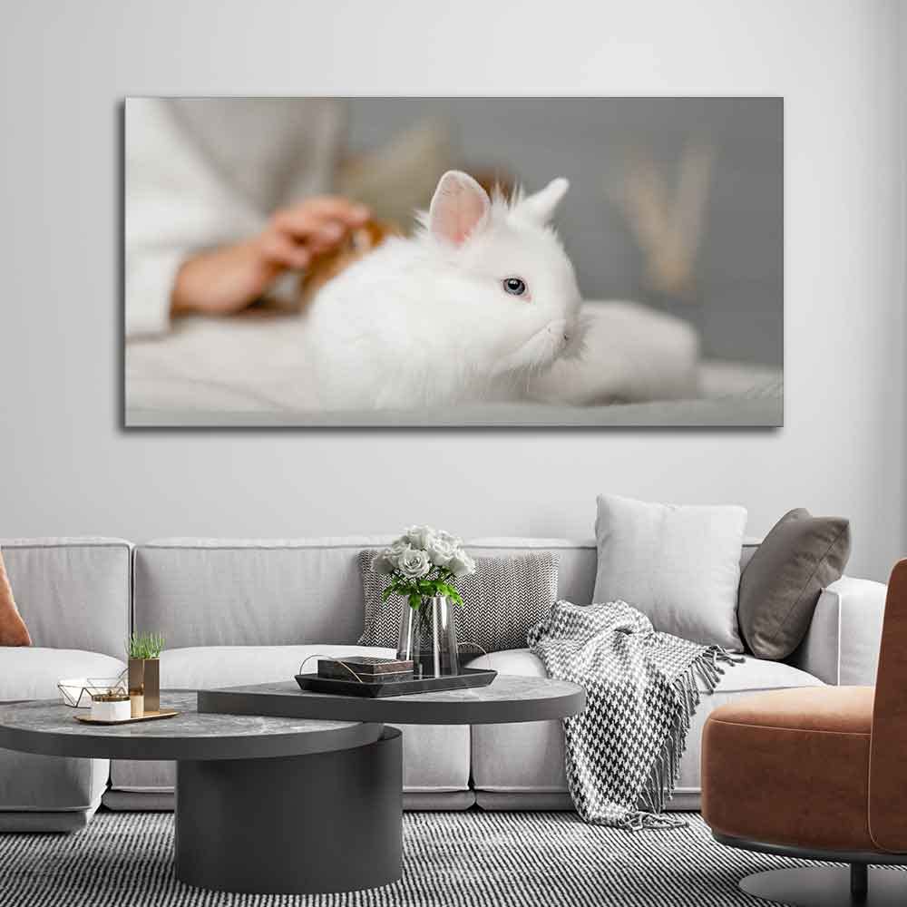 VIBECRAFTS Canvas Paintings for Living Room Drawing Room Cute White Bunny Premium Wall Painting Wall Painting Fitted with Wooden Frame for Home | Office | Gift (PTVCH_2318)