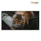 VIBECRAFTS Canvas Paintings for Living Room Drawing Room Cat Walking In Dark Forest Premium Wall Painting Fitted With Wooden Frame For Home | Office | Gift |(PTVCH_2308)