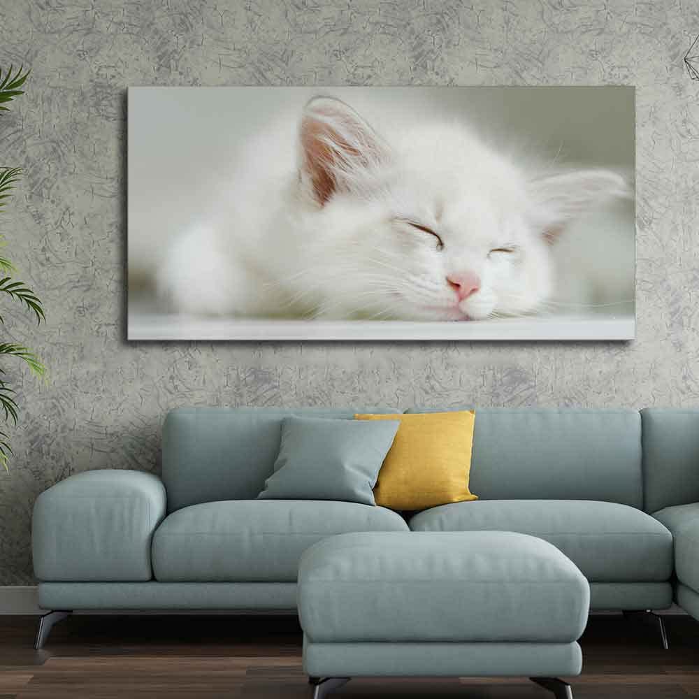 VIBECRAFTS Canvas Paintings for Living Room Drawing Room White Kitten Sleeping Canvas Wall Painting Fitted With Wooden Frame For Home | Office | Gift |(PTVCH_2309)