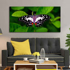 VIBECRAFTS Canvas Paintings for Living Room Drawing Room A Beautiful Butterfly On Leaf Premium Canvas Wall Painting Fitted With Wooden Frame for Home | Office | Gift (PTVCH_2329)