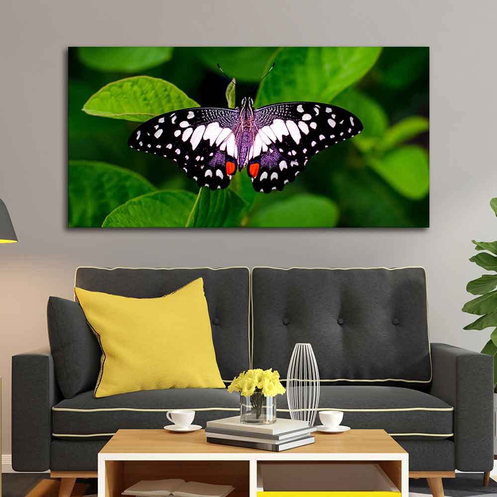 VIBECRAFTS Canvas Paintings for Living Room Drawing Room A Beautiful Butterfly On Leaf Premium Canvas Wall Painting Fitted With Wooden Frame for Home | Office | Gift (PTVCH_2329)