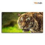 VIBECRAFTS Canvas Paintings for Living Room Drawing Room Tiger In Forest Canvas Wall Painting Fitted With Wooden Frame for Home | Office | Gift (PTVCH_2443)