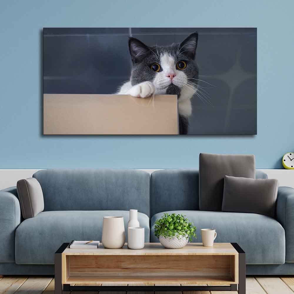 VIBECRAFTS Canvas Paintings for Living Room Drawing Room Beautiful Cat Peeping Over Ledge Wall Painting Fitted With Wooden Frame For Home | Office | Gift |(PTVCH_2306)