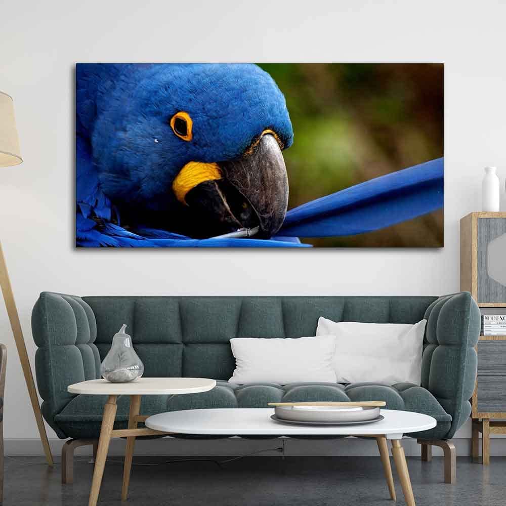 VIBECRAFTS Canvas Paintings for Living Room Drawing Room Blue Mascaw Parrot Premium Wall Painting Fitted with Wooden Frame for Home | Office | Gift (PTVCH_2313)