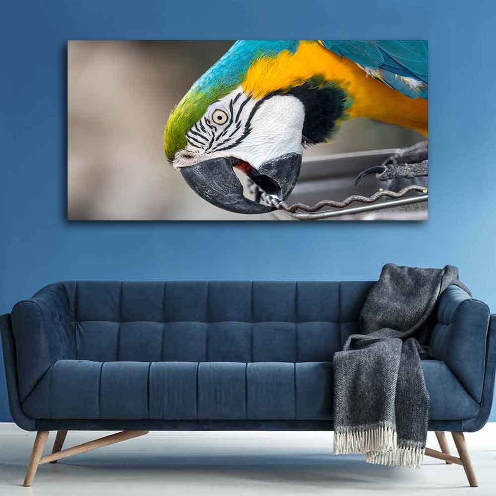 VIBECRAFTS Canvas Paintings for Living Room Drawing Room Beautiful Macaw Parrot Canvas Wall Painting Fitted With Wooden Frame For Home | Office | Living Room | Gift (PTVCH_2482)