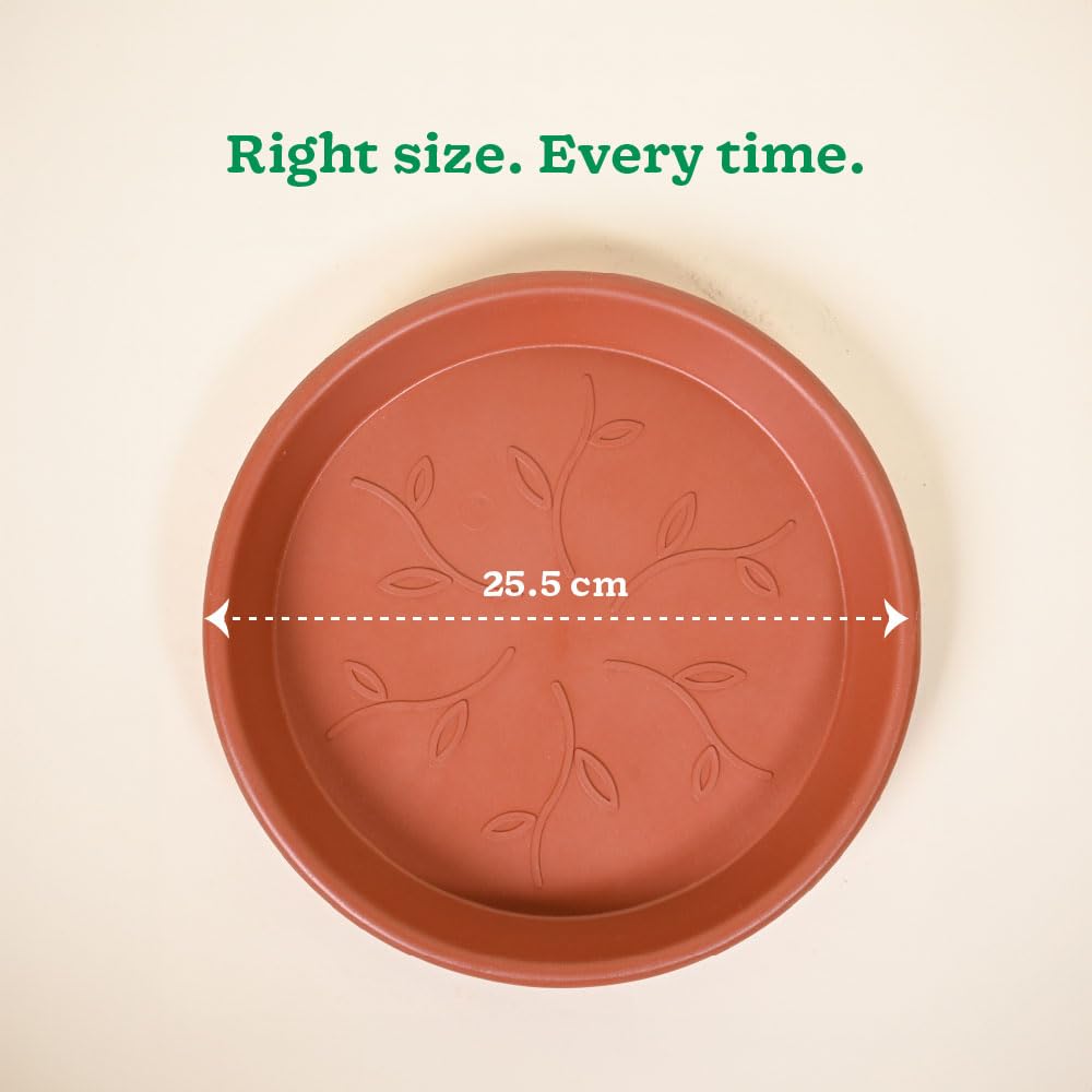 Ugaoo UV Treated Gardening Plastic Tray (Plate/Saucer) for Pots - 10 inch, Brown/Terracotta Color, Set of 6 | Tray for Plants Pot for Indoor Home Decor & Outdoor Garden & Balcony