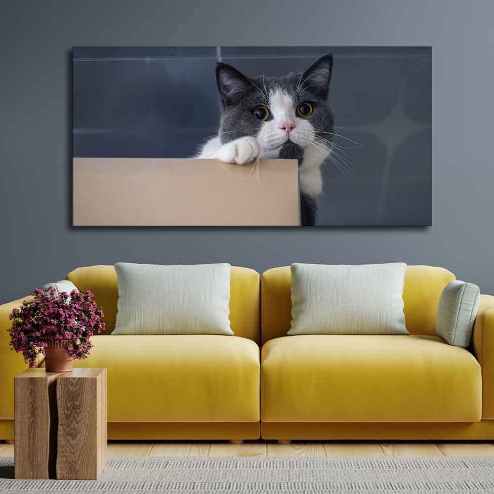 VIBECRAFTS Canvas Paintings for Living Room Drawing Room Beautiful Cat Peeping Over Ledge Wall Painting Fitted With Wooden Frame For Home | Office | Gift |(PTVCH_2306)