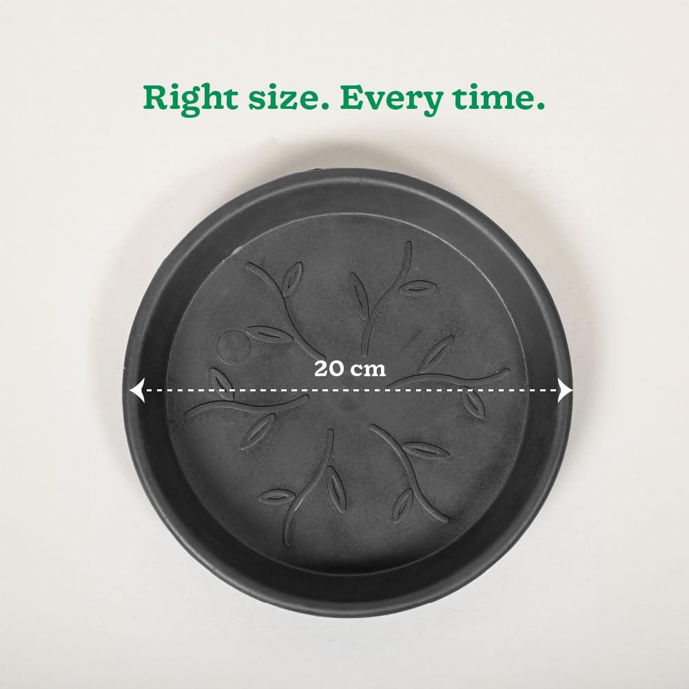 Ugaoo UV Treated Gardening Plastic Tray (Plate/Saucer) for Pots - 8 inch, Black Color, Set of 3 | Tray for Plants Pot for Indoor Home Decor & Outdoor Garden & Balcony