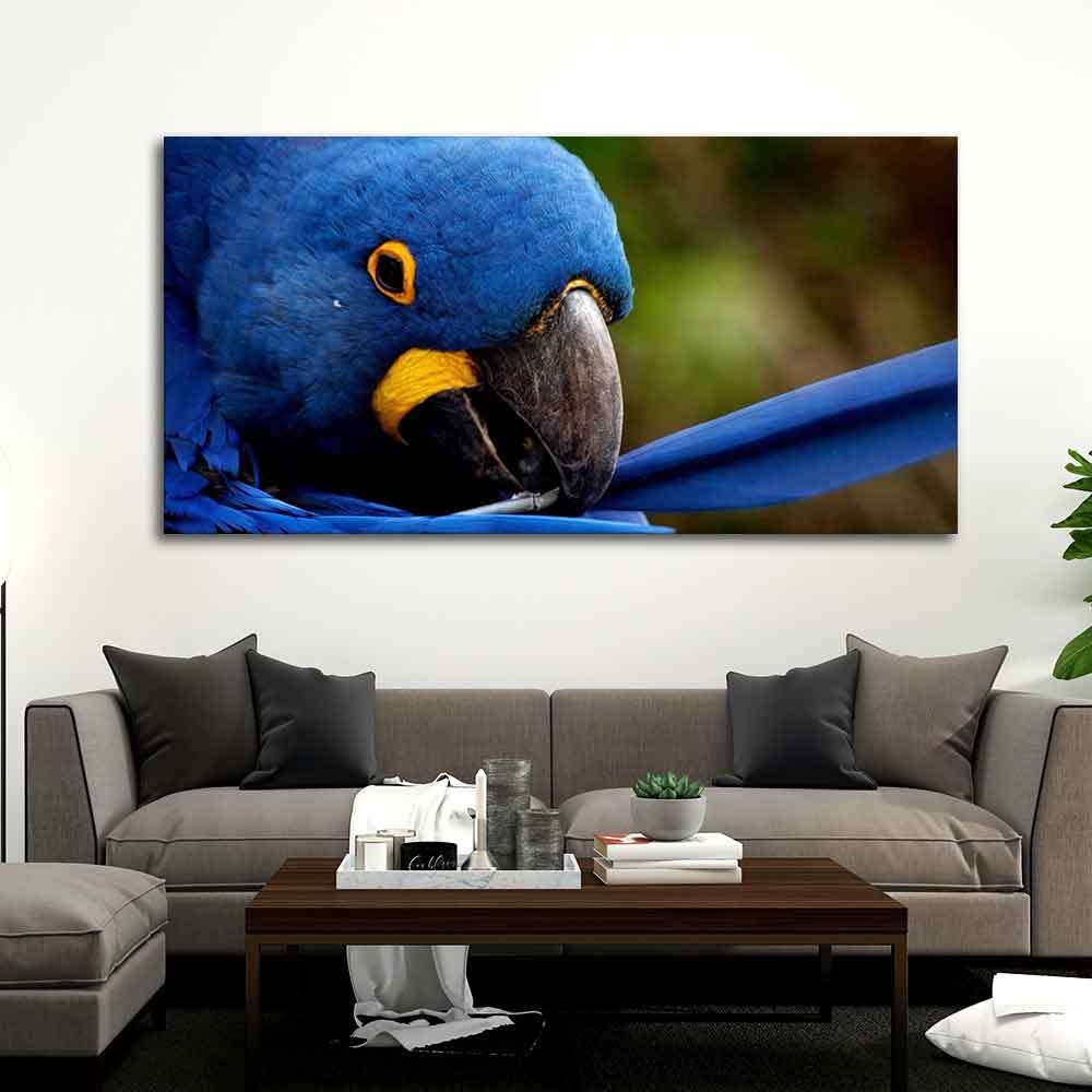 VIBECRAFTS Canvas Paintings for Living Room Drawing Room Blue Mascaw Parrot Premium Wall Painting Fitted with Wooden Frame for Home | Office | Gift (PTVCH_2313)