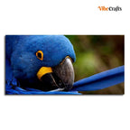 VIBECRAFTS Canvas Paintings for Living Room Drawing Room Blue Mascaw Parrot Premium Wall Painting Fitted with Wooden Frame for Home | Office | Gift (PTVCH_2313)