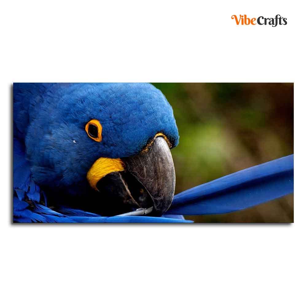 VIBECRAFTS Canvas Paintings for Living Room Drawing Room Blue Mascaw Parrot Premium Wall Painting Fitted with Wooden Frame for Home | Office | Gift (PTVCH_2313)