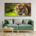 VIBECRAFTS Canvas Paintings for Living Room Drawing Room Tiger In Forest Canvas Wall Painting Fitted With Wooden Frame for Home | Office | Gift (PTVCH_2443)