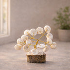 MASI HUB Mini Shell Stone Crystal Tree - Handmade Positive Energy Desk Decor for Home, Office & Car Dashboard 5 cm (Pack of 1)