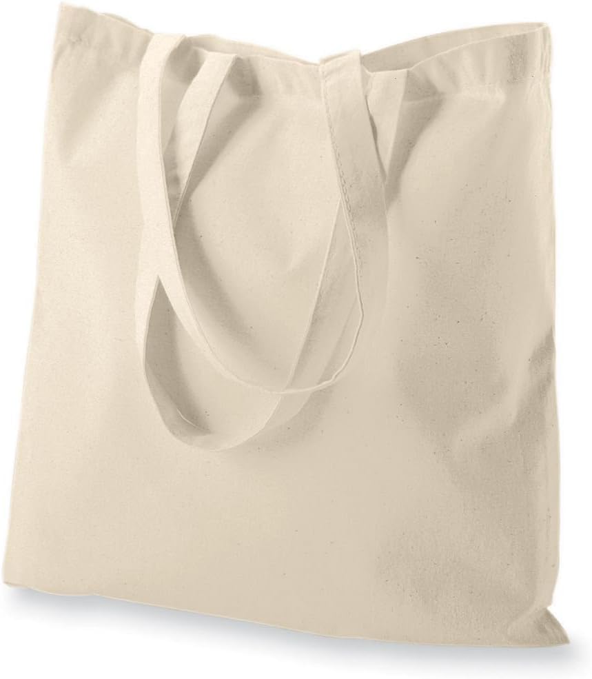 ECHSRT Pack of 2 | 4 | 6 15x16 | Natural Cotton Bags | Cotton Tote Bags | Cotton Canvas Bag | Reusable 100% Eco-Friendly | Shopping, Grocery, Office, Sundry Use (Pack of 2)