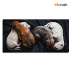 VIBECRAFTS Canvas Paintings for Living Room Drawing Room New Born Puppies Premium Canvas Wall Painting Fitted With Wodden Frame For Home | Office | Gift (PTVCH_2305)
