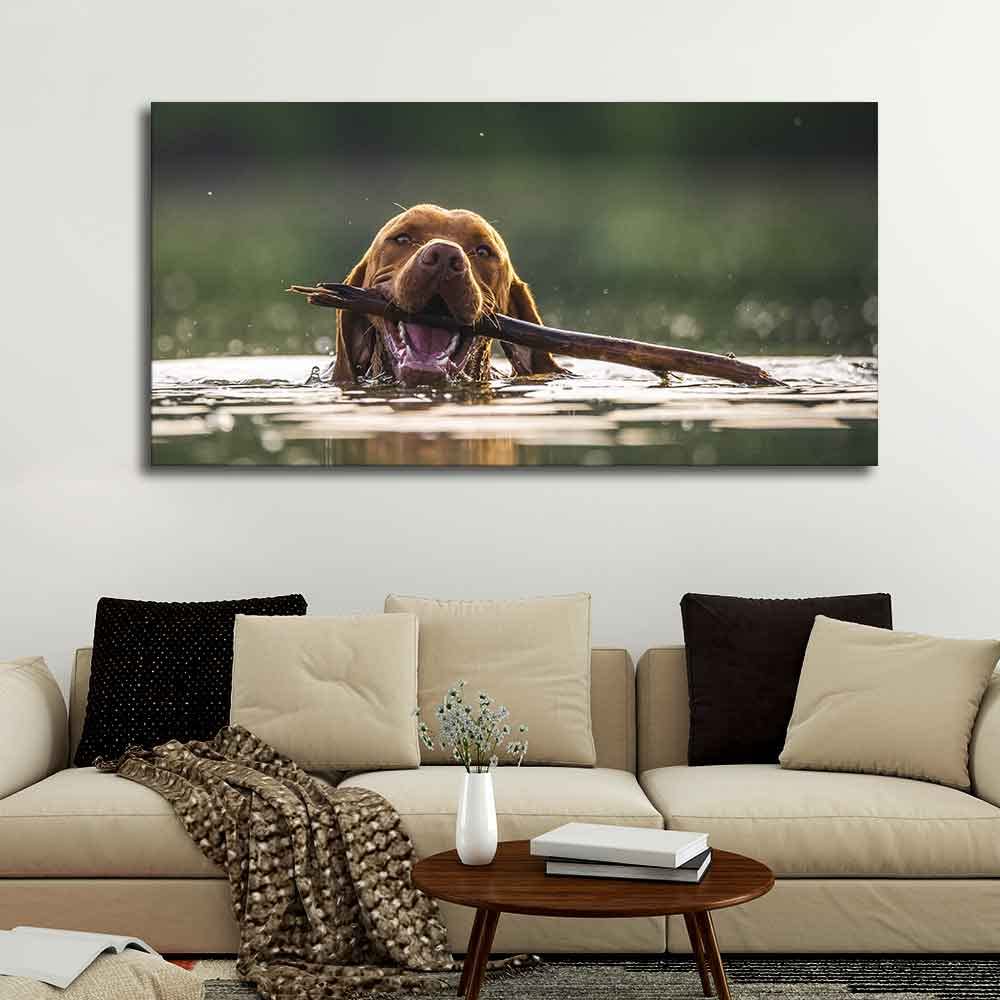 VIBECRAFTS Canvas Paintings for Living Room Drawing Room Dog Swinmming Premium Wall Painting Fitted with Wooden Frame for Home | Office | Gift (PTVCH_2304)