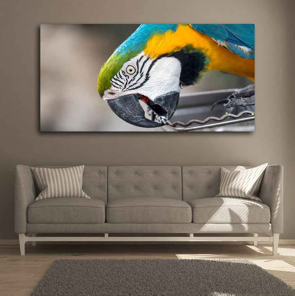 VIBECRAFTS Canvas Paintings for Living Room Drawing Room Beautiful Macaw Parrot Canvas Wall Painting Fitted With Wooden Frame For Home | Office | Living Room | Gift (PTVCH_2482)