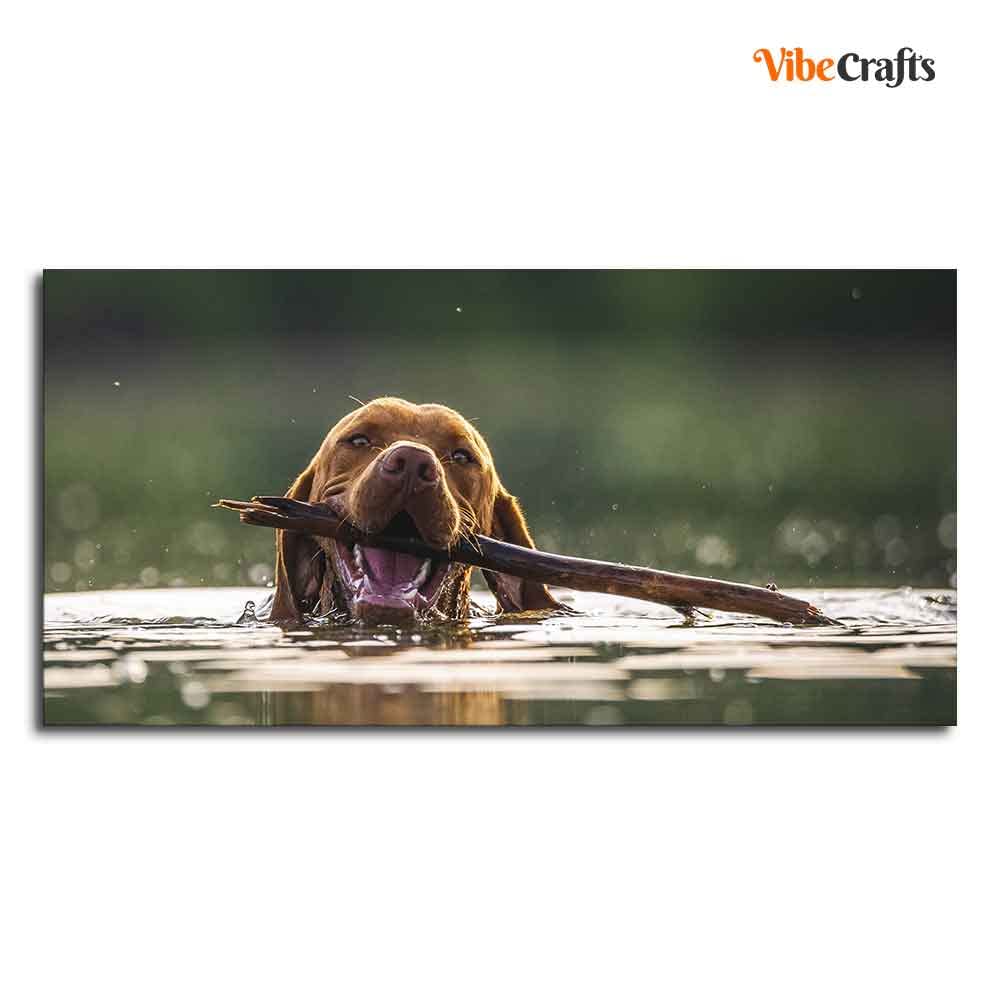 VIBECRAFTS Canvas Paintings for Living Room Drawing Room Dog Swinmming Premium Wall Painting Fitted with Wooden Frame for Home | Office | Gift (PTVCH_2304)