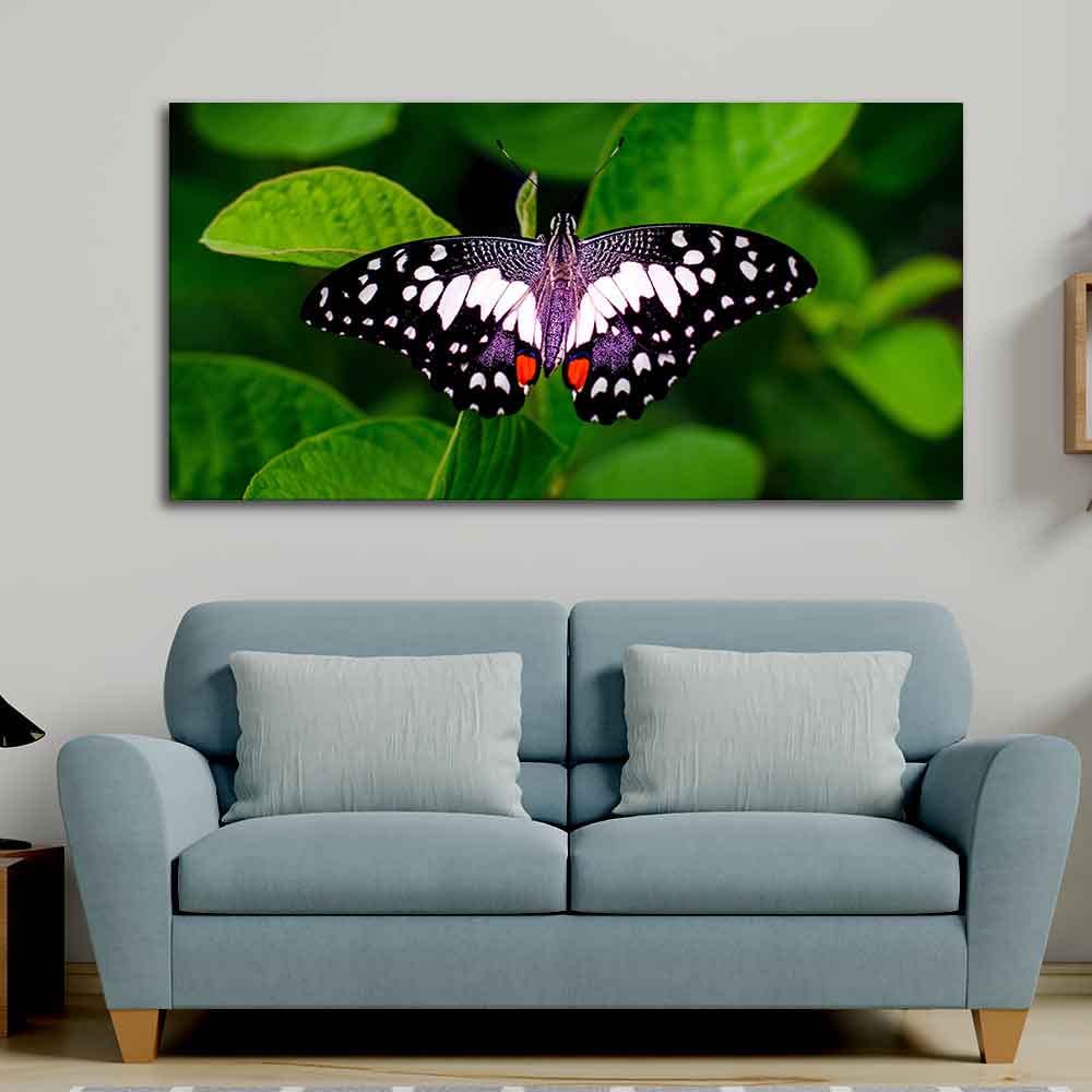 VIBECRAFTS Canvas Paintings for Living Room Drawing Room A Beautiful Butterfly On Leaf Premium Canvas Wall Painting Fitted With Wooden Frame for Home | Office | Gift (PTVCH_2329)