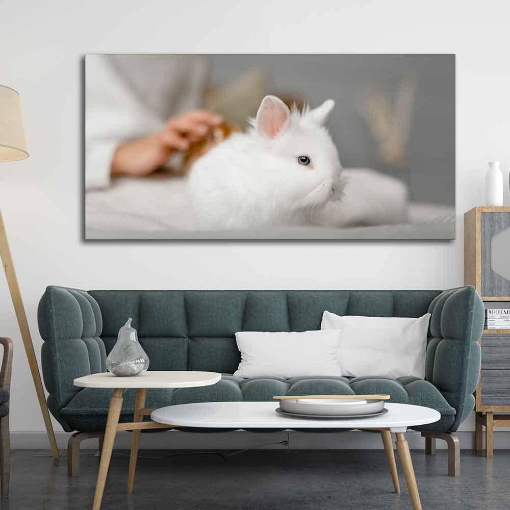 VIBECRAFTS Canvas Paintings for Living Room Drawing Room Cute White Bunny Premium Wall Painting Wall Painting Fitted with Wooden Frame for Home | Office | Gift (PTVCH_2318)