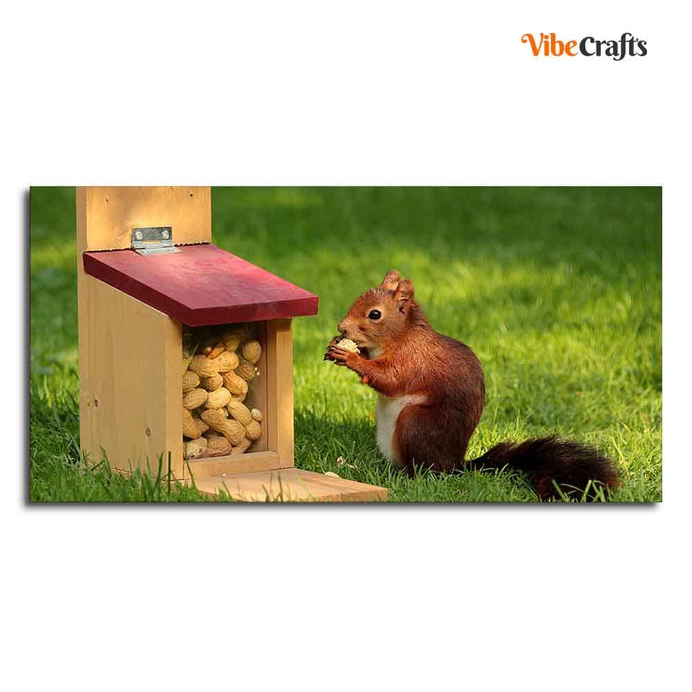VIBECRAFTS Canvas Paintings for Living Room Drawing Room Squirrel Eating Food Wall Painting Fitted with Wooden Frame for Home | Office | Gift (PTVCH_2323)