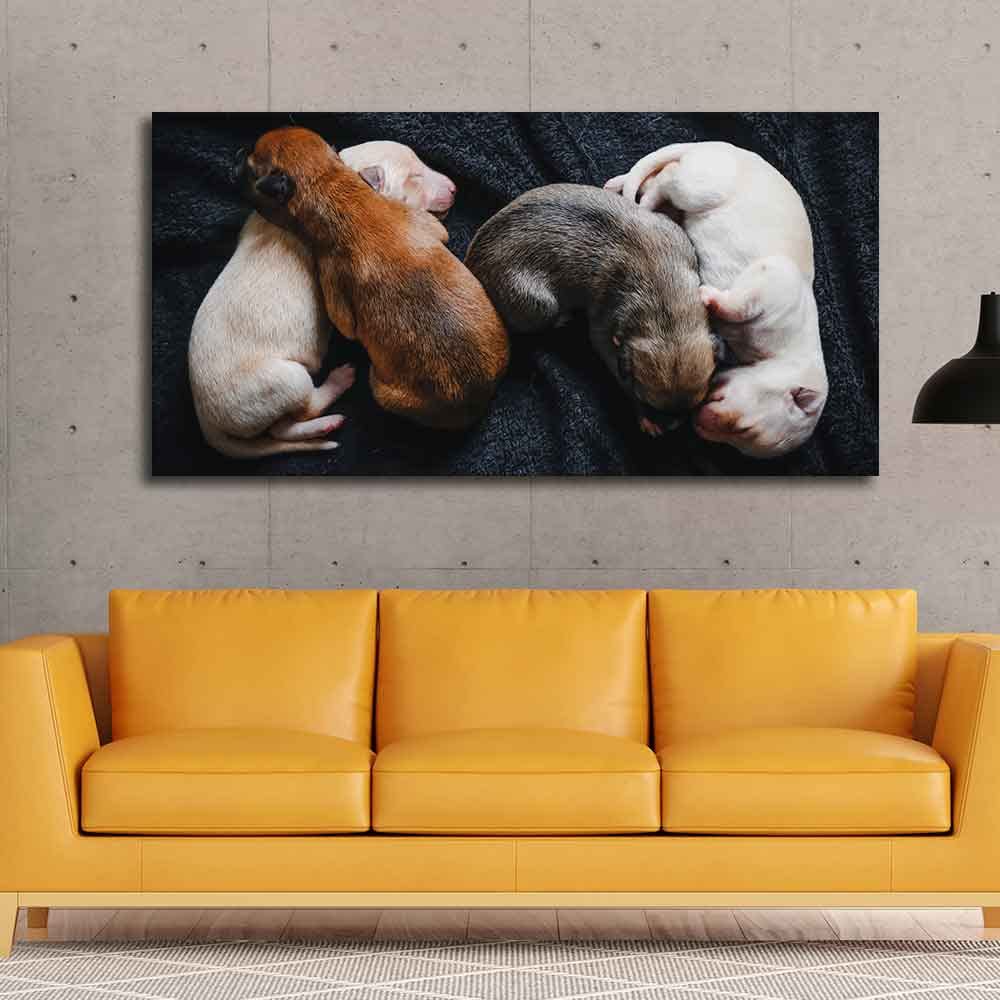 VIBECRAFTS Canvas Paintings for Living Room Drawing Room New Born Puppies Premium Canvas Wall Painting Fitted With Wodden Frame For Home | Office | Gift (PTVCH_2305)