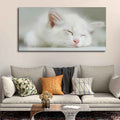 VIBECRAFTS Canvas Paintings for Living Room Drawing Room White Kitten Sleeping Canvas Wall Painting Fitted With Wooden Frame For Home | Office | Gift |(PTVCH_2309)