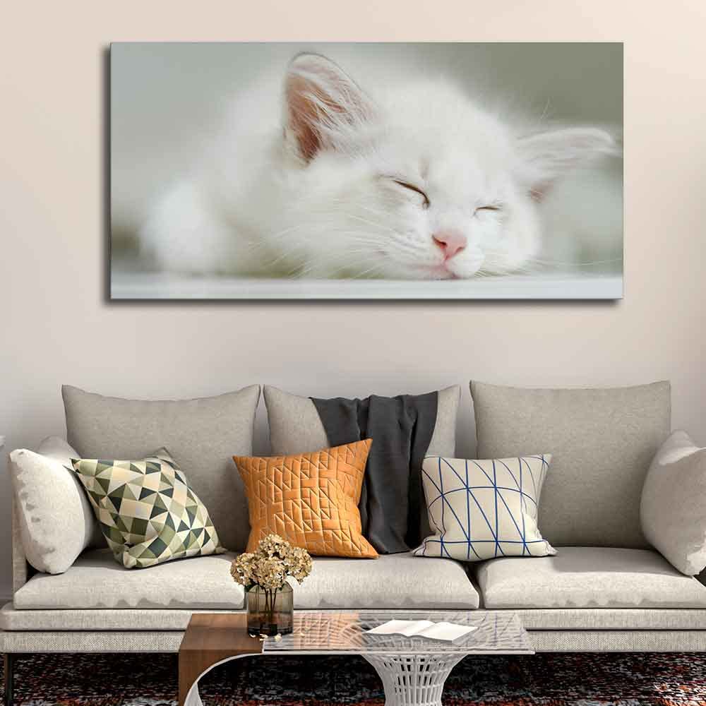 VIBECRAFTS Canvas Paintings for Living Room Drawing Room White Kitten Sleeping Canvas Wall Painting Fitted With Wooden Frame For Home | Office | Gift |(PTVCH_2309)