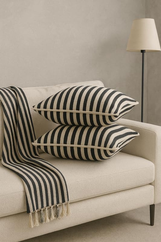 AWARD VELVETS - 100% Cotton - Black and White Stripes Cushion Covers Set of 2 (16 x 16 inches) - Cushion Covers for Sofa & Living Room Decor