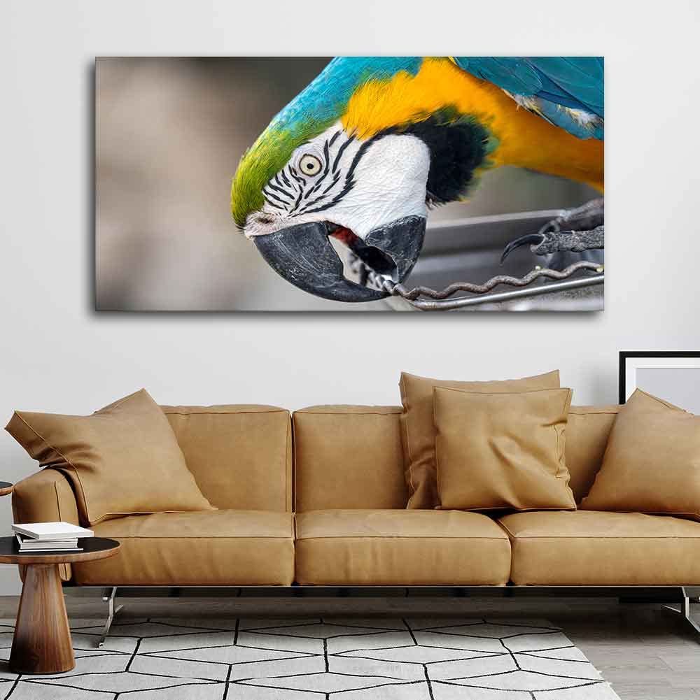 VIBECRAFTS Canvas Paintings for Living Room Drawing Room Beautiful Macaw Parrot Canvas Wall Painting Fitted With Wooden Frame For Home | Office | Living Room | Gift (PTVCH_2482)