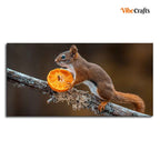 VIBECRAFTS Canvas Paintings for Living Room Drawing Room Squirrel On Tree Branch Premium Wall Painting Fitted With Wooden Frame For Home | Office | Gift |(PTVCH_2322)