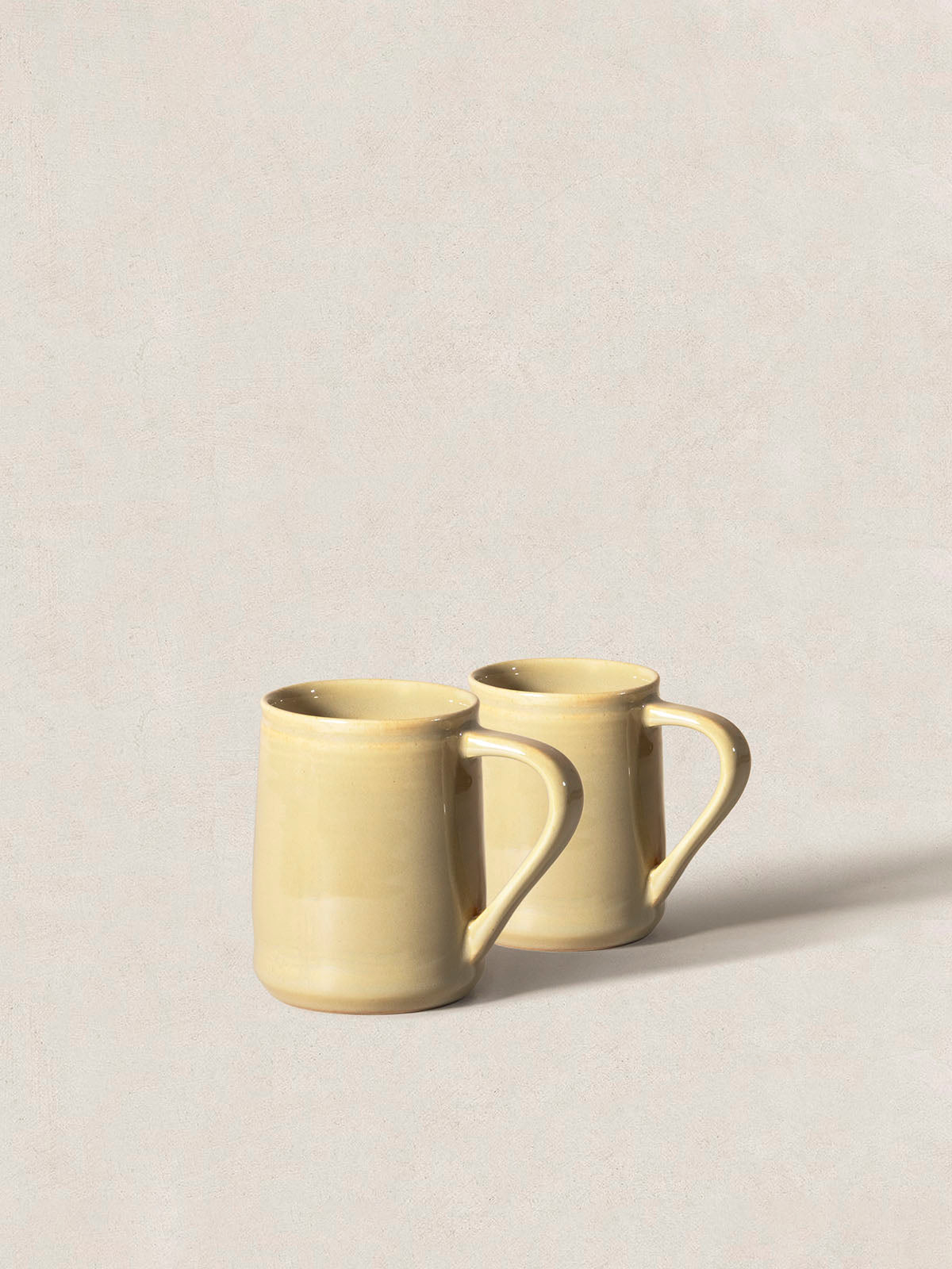 Sunbaked Earth Mug (Set of 2) Contrast Living