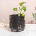 Halcyon Gold Black Marble Ceramic Planter With Legs Large Nestasia
