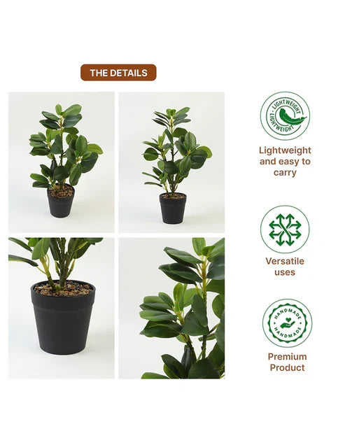 Fake Plant with Pot for Home Decor, Tabletop Decoration, and Room Aesthetics