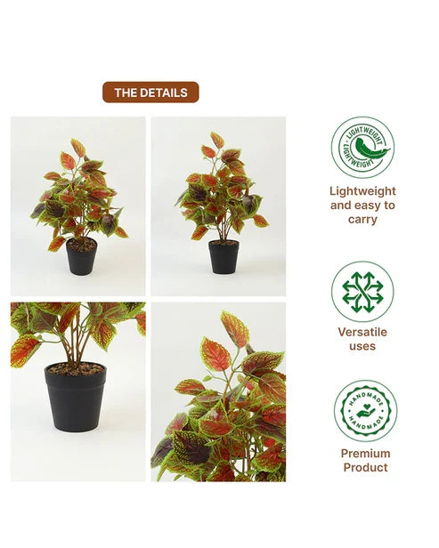 Artificial Plant with Pot for Home Decor and Living Room Decoration