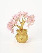 Rare Rose Quartz Crystal Tree in Gold Pot for Love & Positive Energy