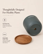 Small Decorative Pot for Home Decoration Items Display