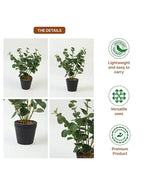 Decorative Artificial Pot Plant for Living Room Decor and Home Styling