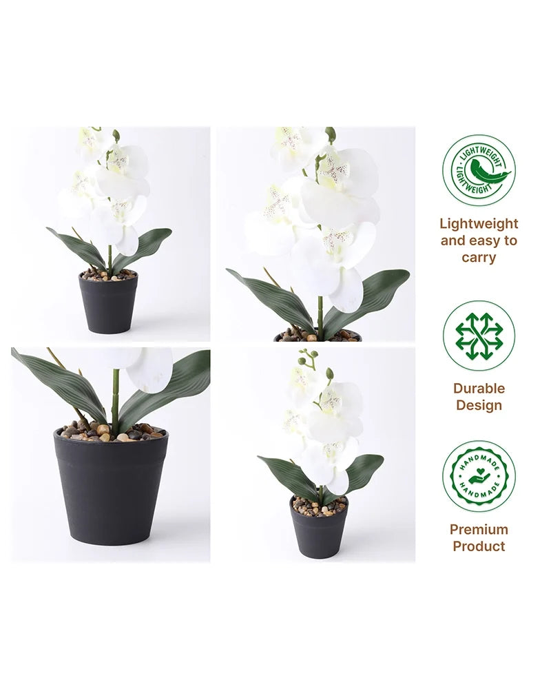 Artificial Decorative Flower Arrangement for Home and Office