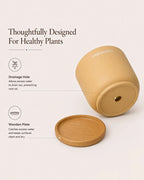 Compact Flower Pot for Living Room Shelf Decor