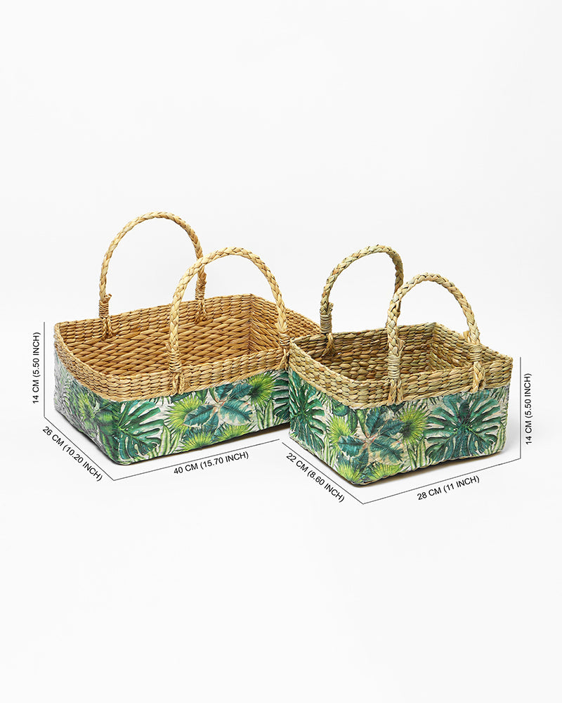 Handwoven Seagrass Fruit Hamper Baskets Set of 2 for Decorative, Multipurpose Home Storage