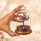 Ritualistic Amethyst Dome Crystal Wish Tree | Purple Gemstone Bonsai with Glass Dome | Healing, Third Eye & Crown Chakra Activation | Vastu & Feng Shui Spiritual Tree | Reiki Home Décor & Premium Gift