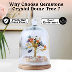 JD FRESH Original Certified Seven Chakra Crystal Tree with Glass Dome/Natural Gemstone Tree/Natural Healing Gemstone Bonsai for Meditation/Wealth/Vaastu/Office/Desk/Decor Gifts