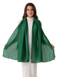 Beau Design Scarf, Lightweight Shawl Wrap for Women, Multiple Colours Available (Green)