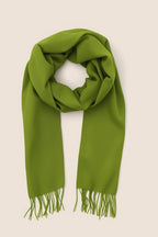 FM Trends Stylish Plain Scarf for Women & Girls | Solid Color Stole, Dupatta, Shawl | Elegant Ladies Accessory (Bright Parrot Green, 1.8 meters)